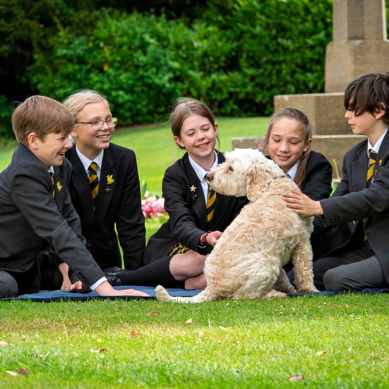 5 students wearing school uniform sat on the grass petting a dog