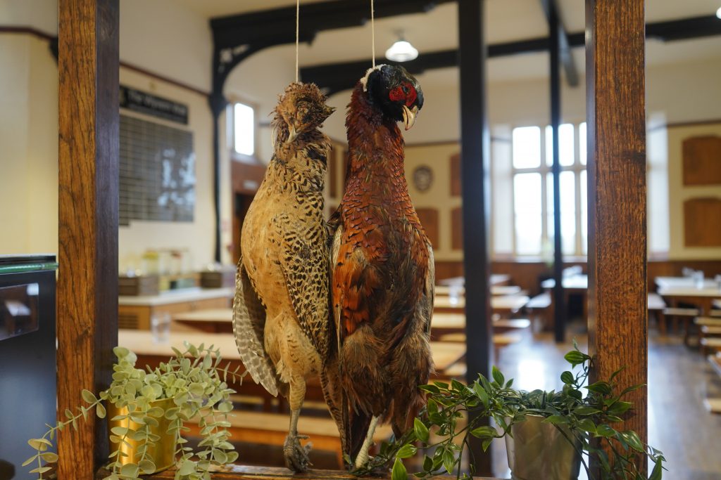 fake hens hanging on a string