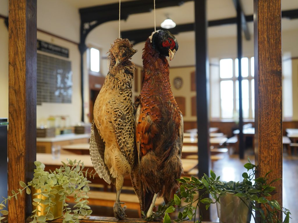 fake hens hanging on a string