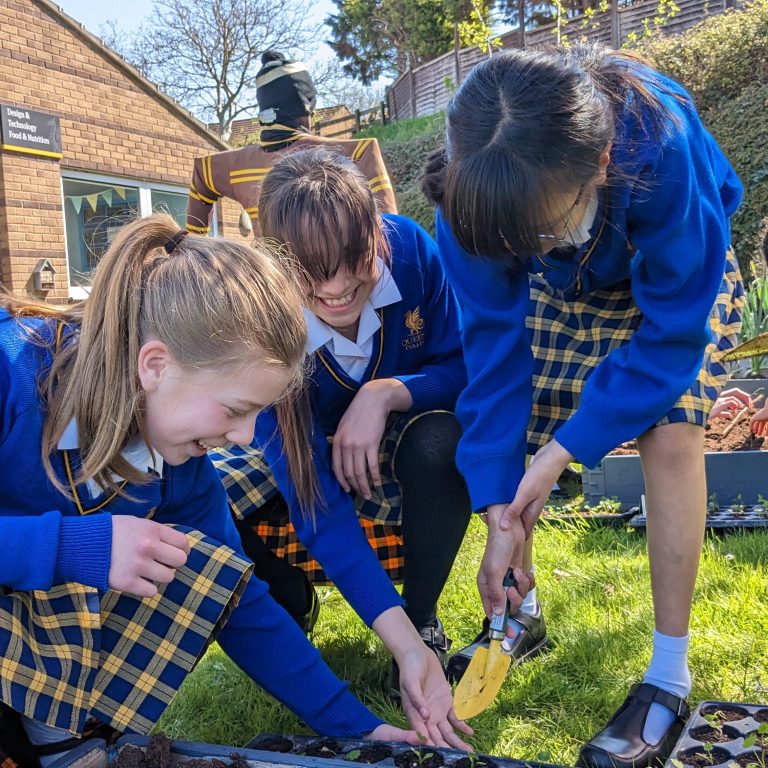 Queen's Prep School pupils are gathered around a vegetable plot, they are planting seedlings in to the ground.