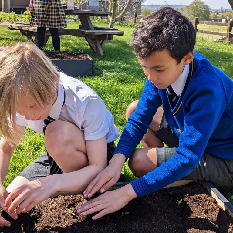 Two Queen's College students work together to plant seedlings into the soil