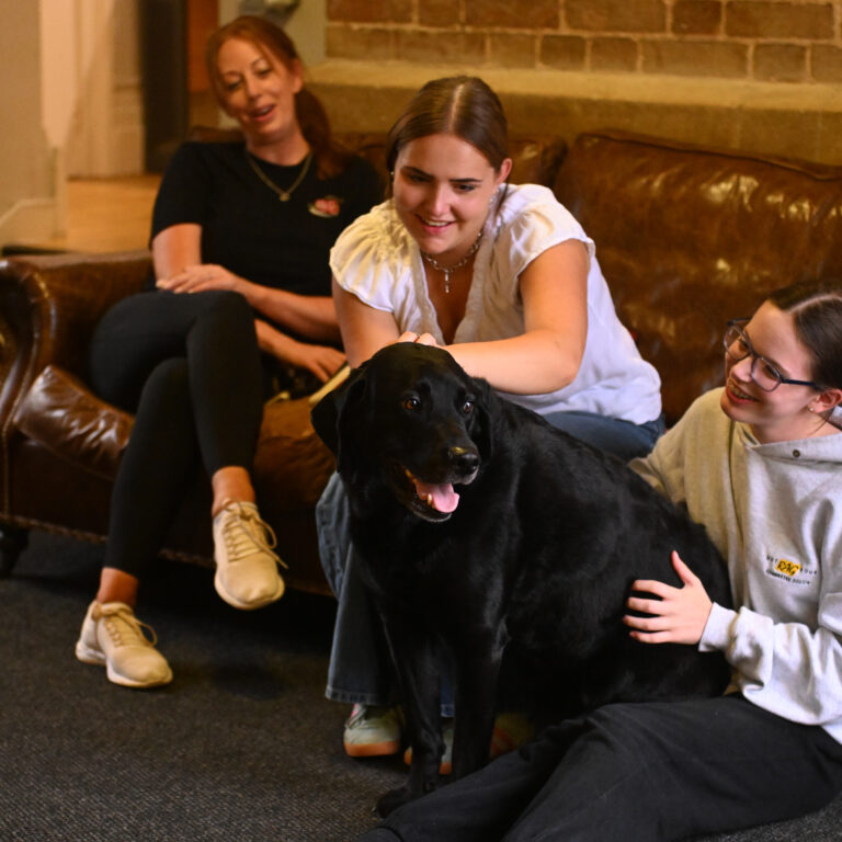 Queen's College Taunton Boarding School, Girls Boarding Hutton House