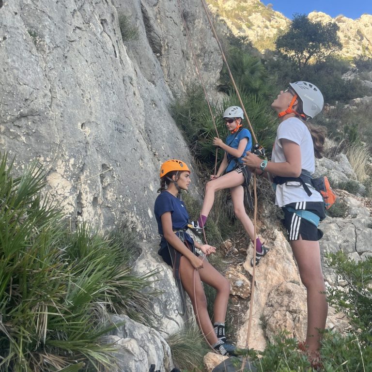 A group of pupils climbing.